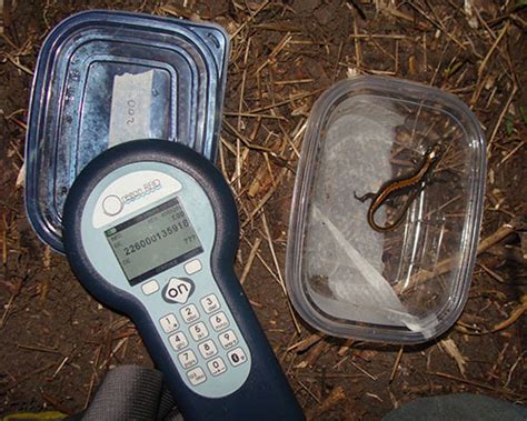 oregon rfid pit tags|oregon rfid pit tag readers.